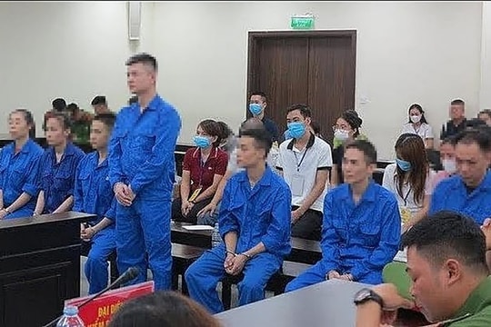 Đánh bạc và tổ chức đánh bạc qua sàn SFX Capital