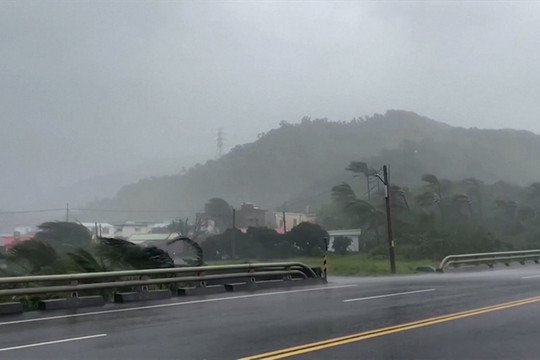 Hơn 1 triệu người bị ảnh hưởng khi cơn bão Koinu đổ bộ vào Đài Loan