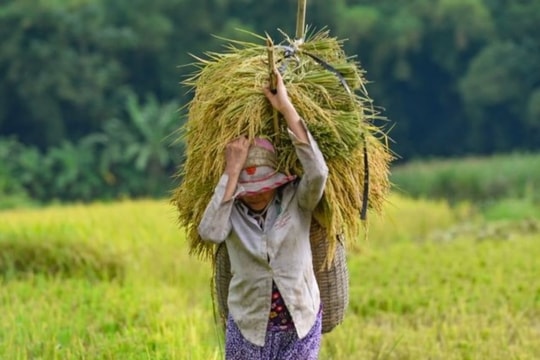Triển khai nhiều giải pháp giảm nghèo hiệu quả, thực chất ở Mường Lát