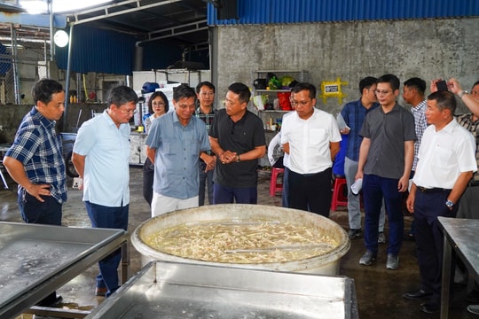 Hải Phòng: Chỉ đạo xử lý dấu hiệu vi phạm của doanh nghiệp tại phường Máy Chai