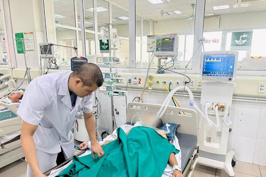 Hôn mê nguy kịch vì vết cắn của mèo
