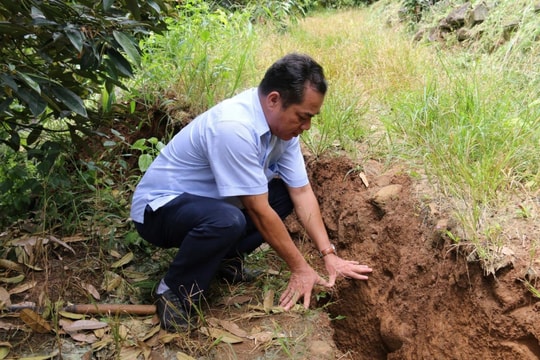 Đắk Nông: Nứt đất, sụt lún nghiêm trọng gây sập 2 ngôi nhà
