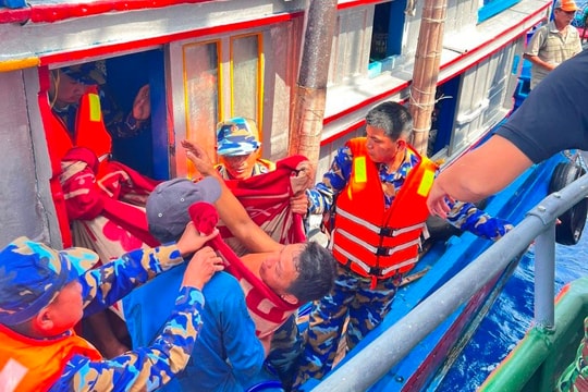 Bị cá cờ đâm rách bụng, ngư dân được Bộ đội Biên phòng điều tàu đến cấp cứu
