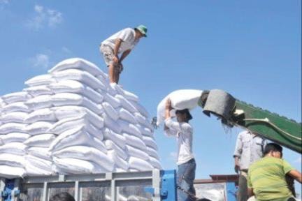 Chuẩn bị đấu giá hạn ngạch nhập khẩu đường năm 2023