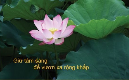 Ngân hàng TMCP Bắc Á khai trương hoạt động chi nhánh Điện Biên