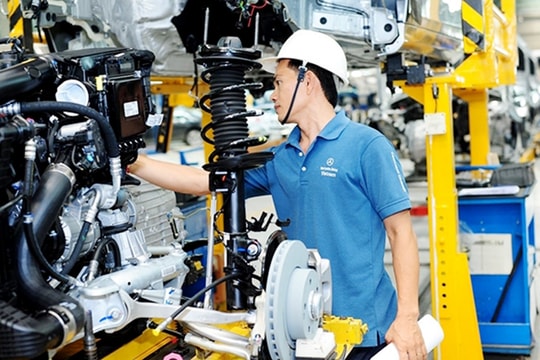 31% doanh nghiệp châu Âu xếp Việt Nam trong nhóm 3 điểm đến hàng đầu