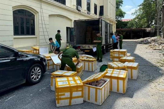 Thu giữ hơn 1 tấn thực phẩm không nguồn gốc trên đường về Hà Nội tiêu thụ