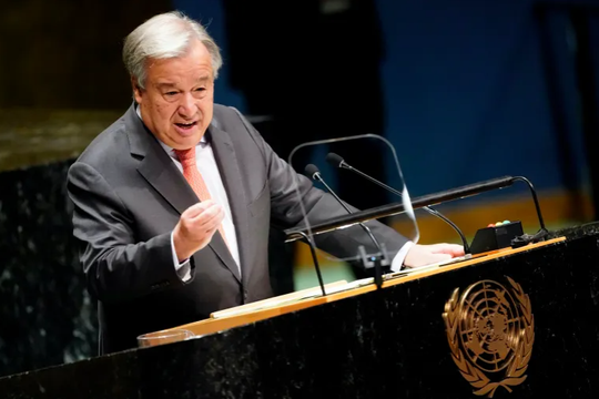 Nhân viên Liên hợp quốc thiệt mạng ở Gaza