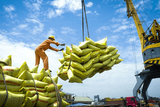 Indonesia chọn Việt Nam là nguồn cung chính 1,5 triệu tấn gạo