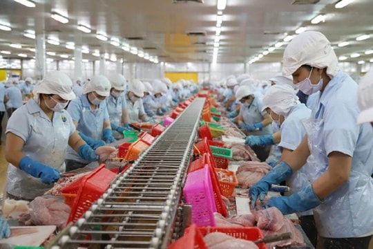 MBKE nâng dự báo GDP Việt Nam năm 2023