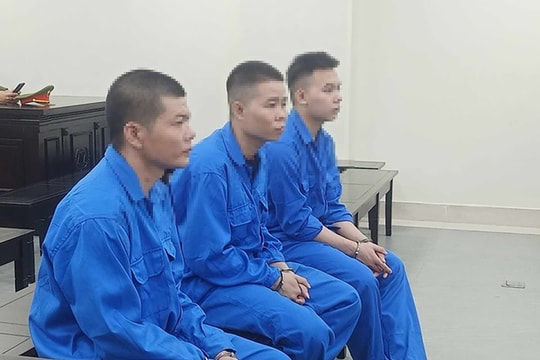 'Trai bản' lĩnh án tử hình vì mang ma tuý về Thủ đô tiêu thụ