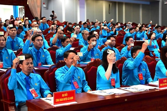 Đại hội Công đoàn tỉnh Cà Mau lần thứ XI, nhiệm kỳ 2023 - 2028