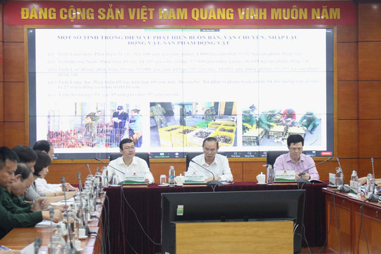 Kiên quyết ngăn chặn, xử lý nạn nhập lậu gia súc, gia cầm