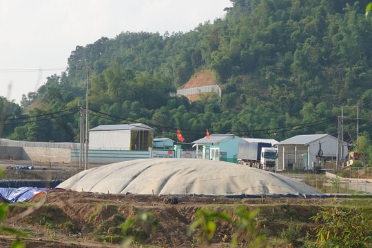 Xử phạt trang trại lợn gây ô nhiễm môi trường
