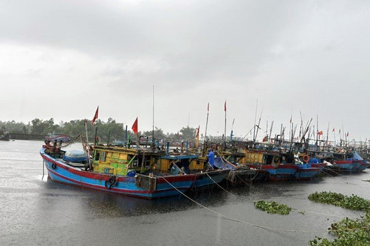 Mưa lũ phức tạp, Quảng Nam cấm biển