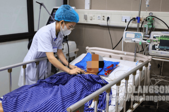 Học sinh lớp 2 bị rắn cắn nguy kịch