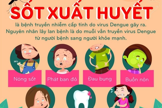 Hải Dương xuất hiện 5 ổ dịch sốt xuất huyết trong 2 ngày