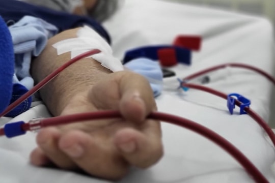 Cảnh báo suy thận nặng vì uống cỏ mực