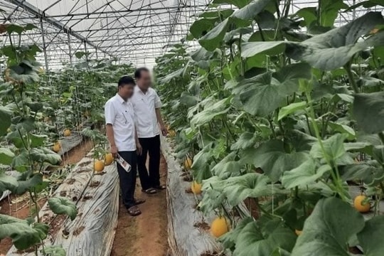 Tạo sinh kế để người chấp hành xong án phát tù ổn định đời sống