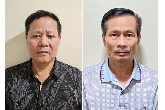 Chủ tịch Thái Dương khai thác đất hiếm hưởng lợi bất chính 632 tỷ đồng 