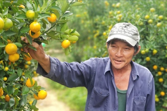Quảng Nam: Triển khai hiệu quả nguồn vốn chính sách xã hội