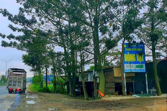 Bắt 2 nhân viên Trạm kiểm dịch động vật 'vòi' tiền xe chở lợn