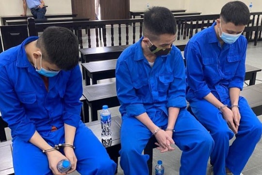Dắt nhau vào tù vì lừa sếp cũ đầu tư vào sàn ngoại hối