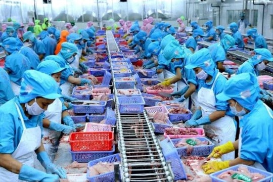Dự báo xuất khẩu thủy sản quý IV/2023 đạt 2,4 tỷ USD