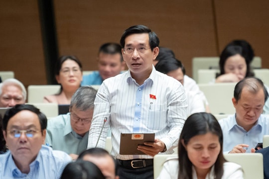 Đấu giá sim điện thoại có thể bị bỏ cọc như đấu giá biển số xe ô tô