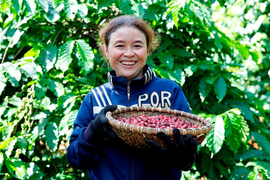 Nâng cao vai trò của phụ nữ trong toàn chuỗi cung ứng