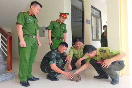 Người dân tự nguyện giao nộp động vật quý hiếm