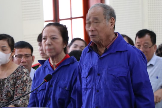 Vợ chồng đại gia bất động sản vào tù, công ty nợ thuế hàng trăm tỷ
