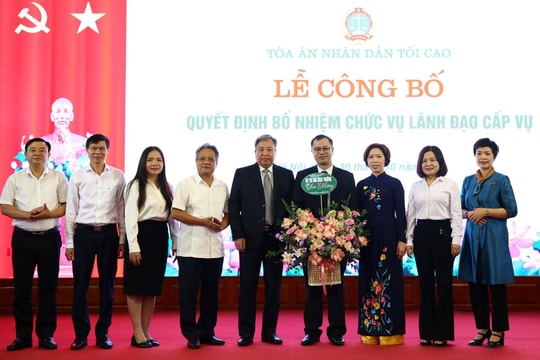 Bổ nhiệm Phó Vụ trưởng Vụ Thi đua - Khen thưởng TANDTC