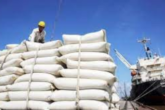 Xuất khẩu gạo tiếp tục lập kỷ lục mới