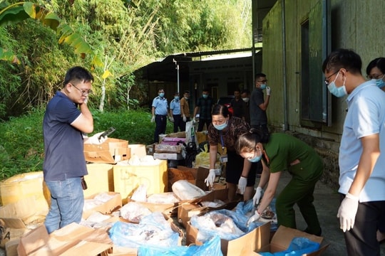 Phát hiện gần 1,5 tấn thực phẩm đông lạnh đã hết hạn sử dụng