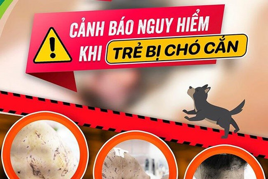 Bé gái 7 tuổi bị 4 con chó cắn thương tích đầy người