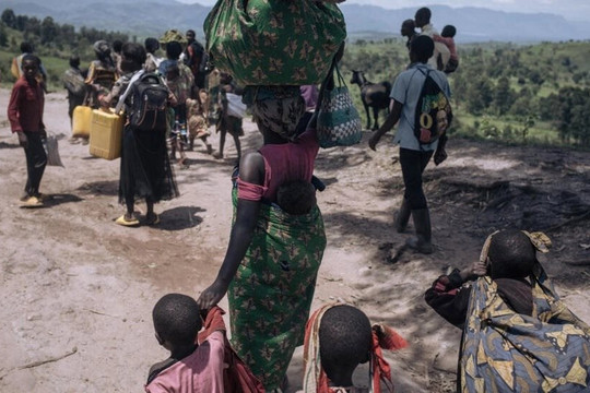 Congo: 6,9 triệu người phải di tản trong nước