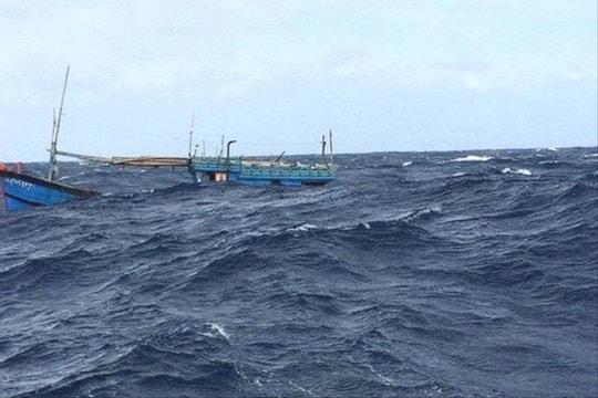 Quảng Ngãi: Một ngư dân mất tích khi hành nghề câu mực trên biển