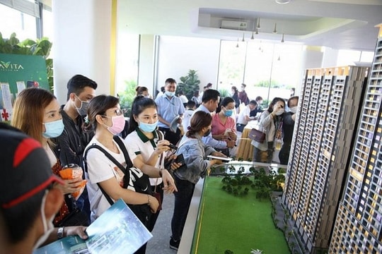 Lo bất ổn nếu tích hợp sàn giao dịch bất động sản và sàn giao dịch quyền sử dụng đất