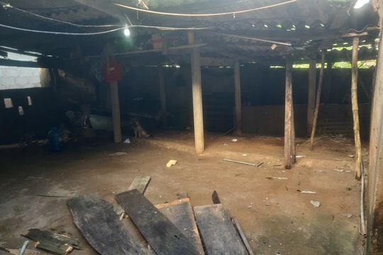 Sập giếng nước, vợ chồng thiệt mạng