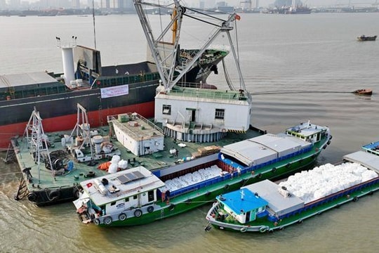 Xuất khẩu gạo năm 2023 có khả năng chạm mốc kỷ lục 8 triệu tấn