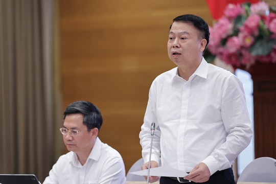 Chuyển hồ sơ dấu hiệu trốn thuế của Công ty Thành Bưởi sang cơ quan điều tra