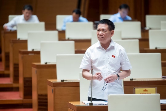 Bộ trưởng Bộ Tài chính trả lời chất vấn việc người dân mua bảo hiểm ô tô, xe máy để 'đối phó' 