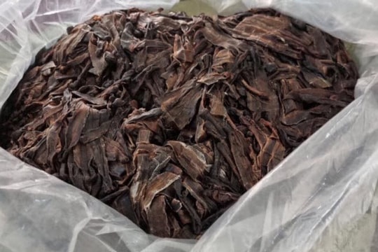 Thu giữ hơn 100kg giun đất sấy khô trên ô tô 4 chỗ