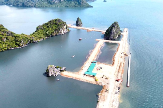 Quảng Ninh: Đoàn liên ngành kiểm tra dự án lấn biển ven vịnh Hạ Long