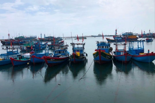 Quảng Ngãi: Một chủ tàu cá bị phạt hơn 3 tỷ đồng