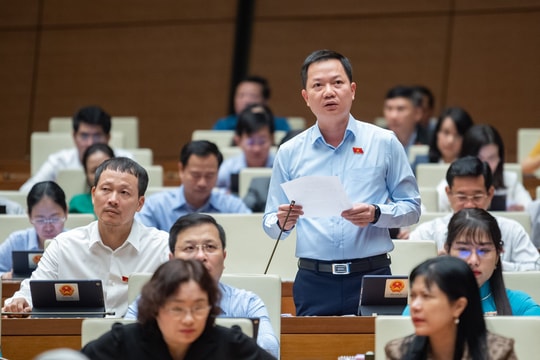 Quốc hội tranh luận xung quanh phim “Đất rừng phương Nam”