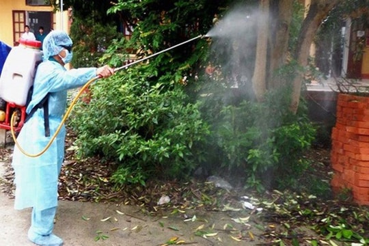 Ninh Bình ghi nhận 455 ca sốt xuất huyết Dengue