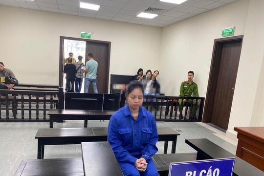 Lừa đảo chiếm đoạt tài sản, Giám đốc Công ty CP phát triển nhân lực lĩnh án