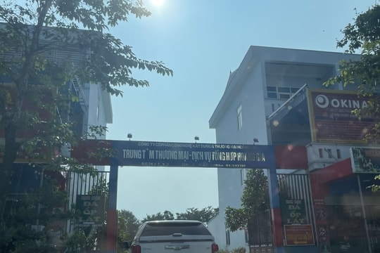 Xử phạt Công ty Hoàng Gia 80 triệu đồng